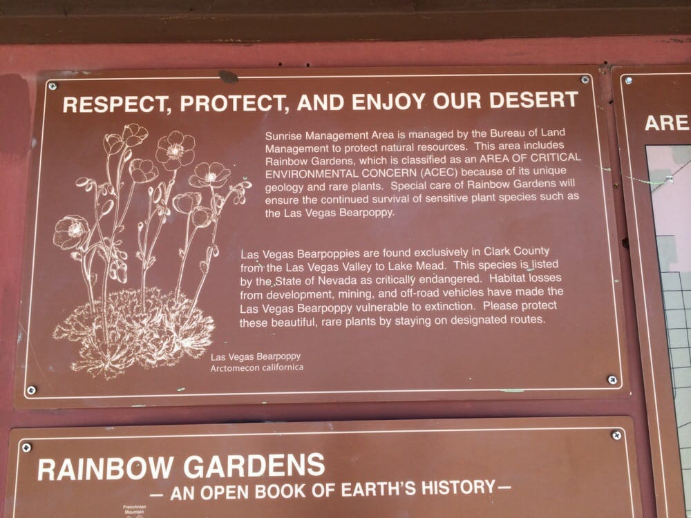 The Dirt Rainbow Gardens Off Road Nevada