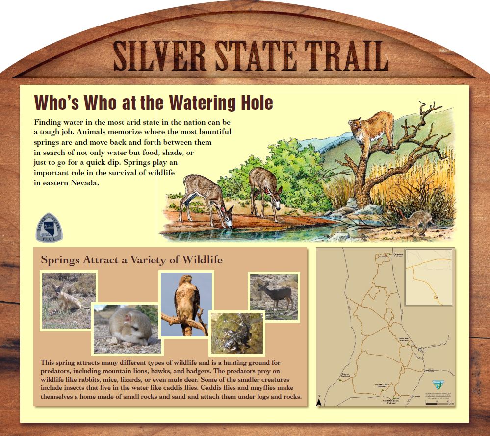 The Dirt: Silver State Trail System  OFF-ROAD Nevada