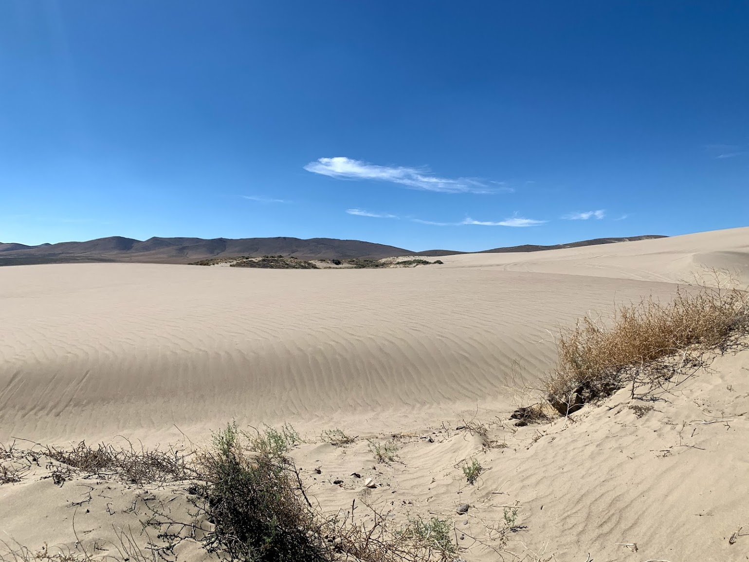 The Dirt: Winnemucca Dunes OHV Recreation Area | OFF-ROAD Nevada